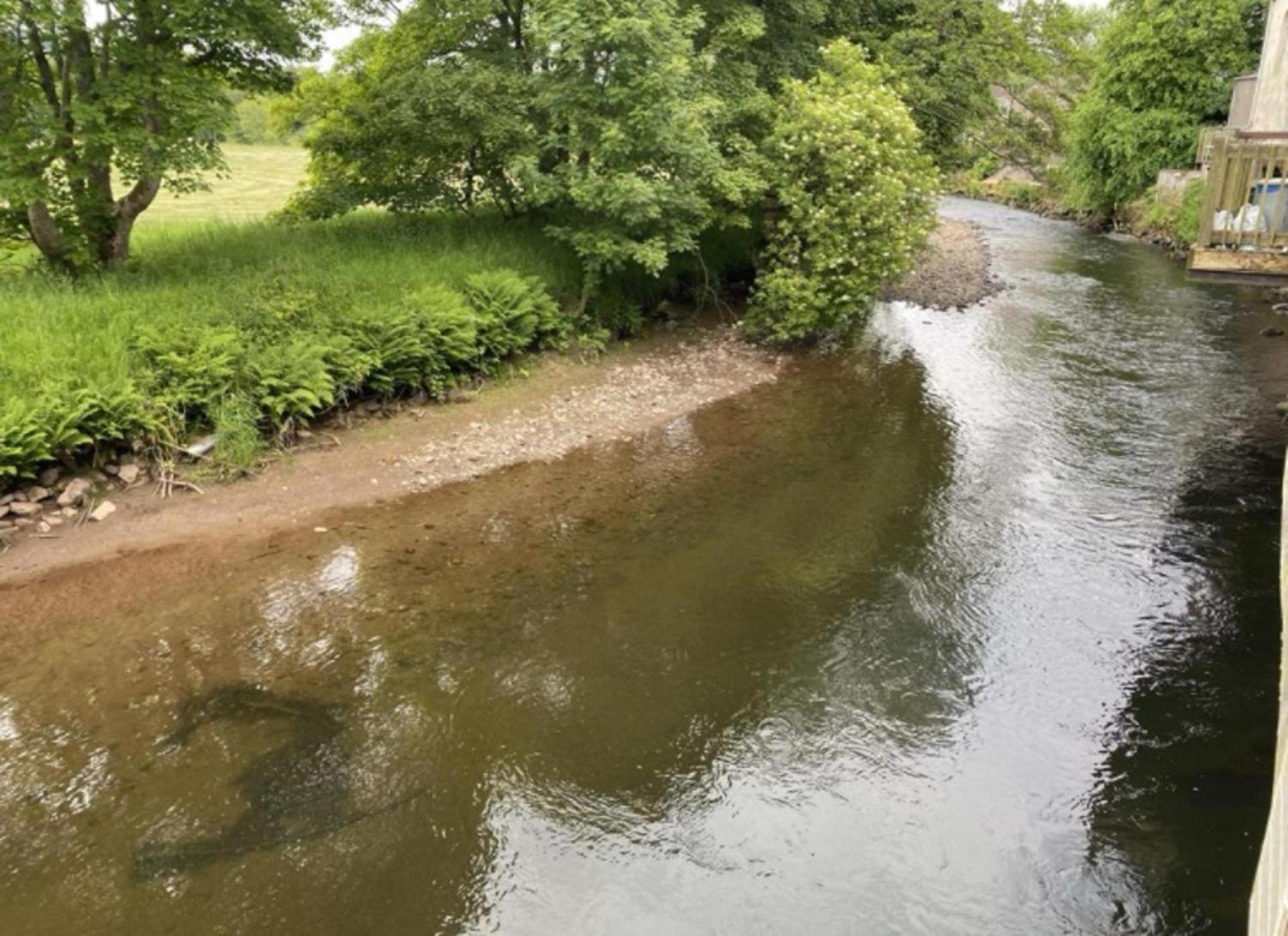 Riverbank Cottage River Ehan Double Balcony Egremont (Cumbria) ภายนอก รูปภาพ
